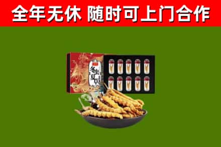 新华回收冬虫夏草价格