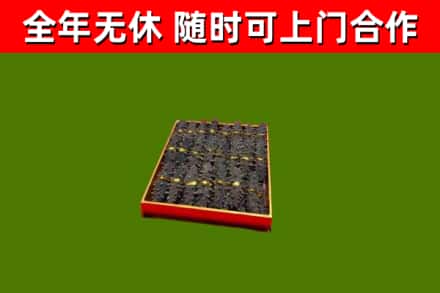 新华回收海参